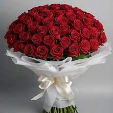 Букет 101 Красная роза Блэк Мэджик в Пушкинские Горы