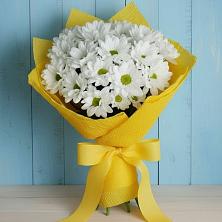 Букет цветов из:  Хризантемы в Пушкинские Горы