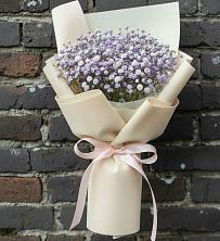 Букет цветов из:  Гипсофила в Пушкинские Горы