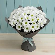 Букет цветов из:  Хризантемы в Пушкинские Горы