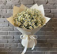 Букет цветов из:  Ромашки в Пушкинские Горы
