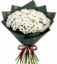 Букет цветов из:  Хризантемы в Пушкинские Горы