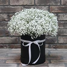 Цветочная композиция из Гипсофила в шляпной коробке в Пушкинские Горы