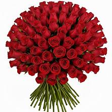Букет Красные розы Чери Лав в Пушкинские Горы